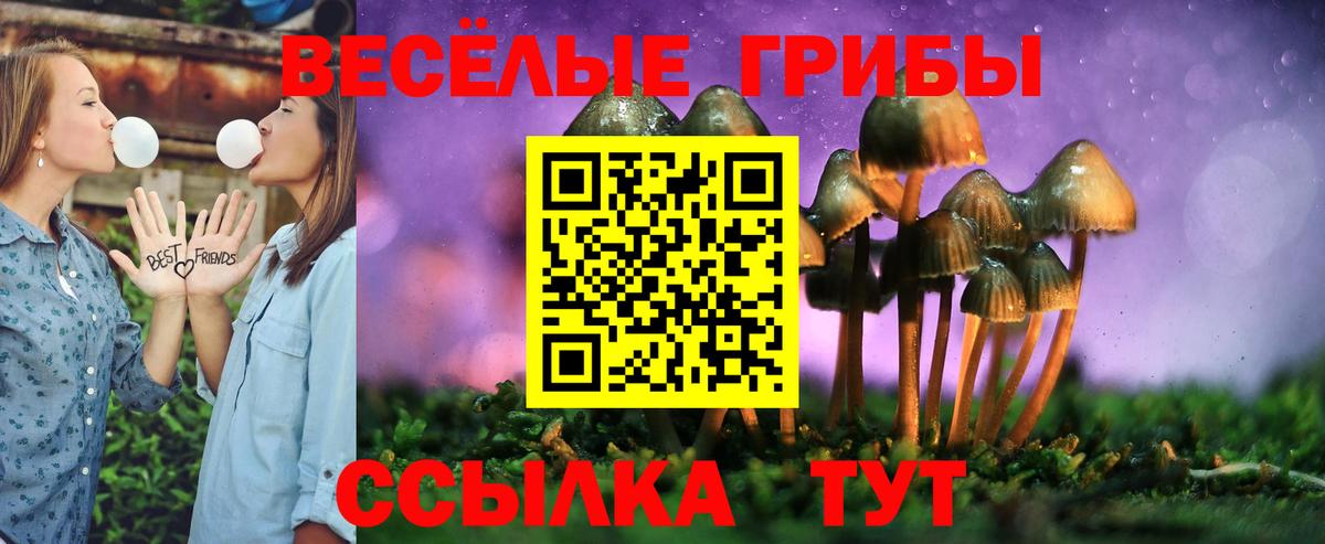 Галлюциногенные грибы Magic Shrooms  Галлюциногенные грибы Cubensis  Вход с VPN  Кандалакша 